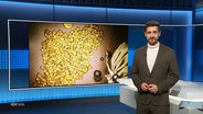 Daniel Anibal Bröckerhoff moderiert NDR Info um 21:45 Uhr. © Screenshot 