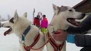 Zwei Huskys stehen nebebneinandetr, dahinter zwei Frauen mit Helm und Schneeanzug. © Screenshot 