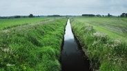 Ein Bach fließt durch eine grüne Landschaft. © Screenshot 