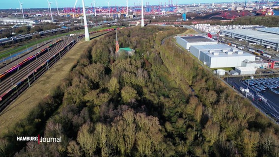 Vogelperspektive: Inmitten des Hafengeländes in Altenwerder steht eine Kirche, umgeben von Bäumen. © Screenshot 