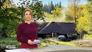 Eva Diederich moderiert die Sendung Schleswig-Holstein 18.00. © Screenshot 