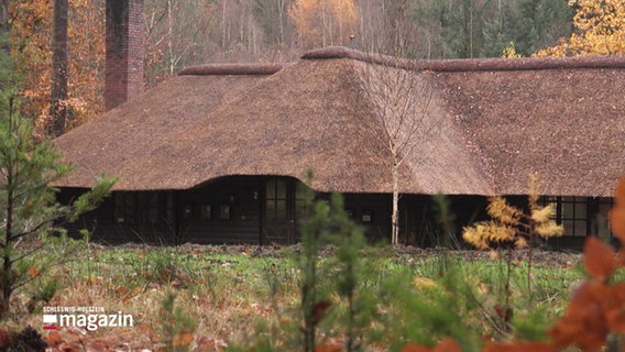 Das Haus im Sachsenwald. © Screenshot 