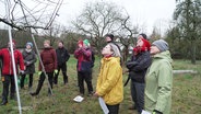 Eine Gruppe von Menschen steht ringsherum um einen Obstbaum, der beschnitten wird. © Screenshot 