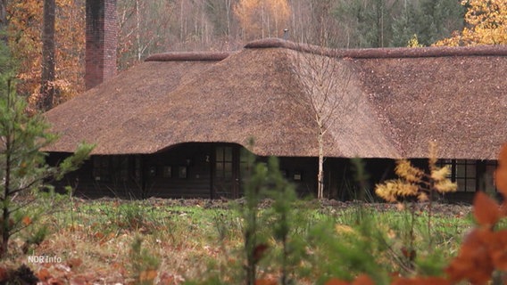 Eine größere, mit Reet bedeckte Hütte steht auf einer Lichtung eines Waldes. © Screenshot 