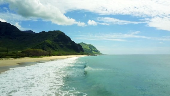 Strand auf Hawaii © Screenshot 