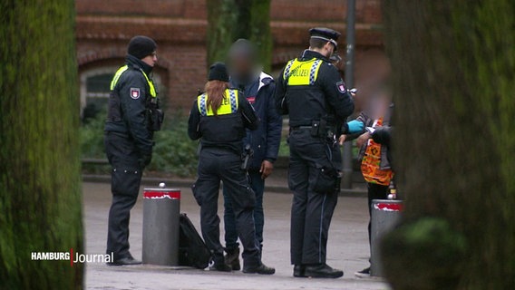 Eine Polizeikontrolle in St. Georg. © Screenshot 