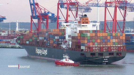 Ein Containerschiff von Hapag-Lloyd im Hamburger Hafen. © Screenshot 