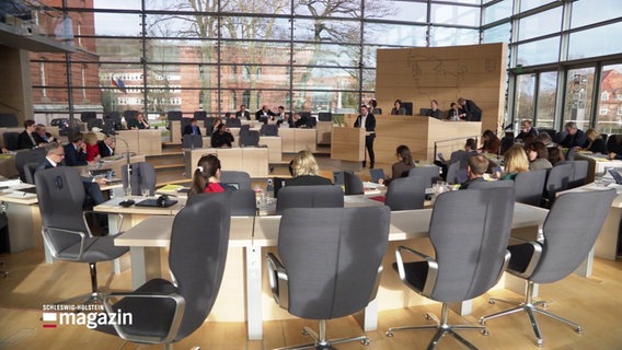 Im Landtag in Kiel. © Screenshot 