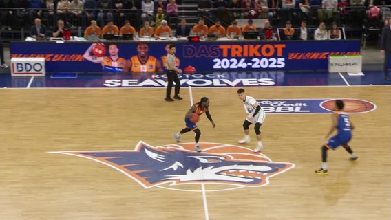 Die Rostock Seawolves spielen gegen die MLP Academics Heidelberg. © Screenshot 