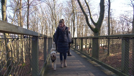 Frau geht mit ihrem Hund den Baumwipfelpfad in Prora entlang. © Screenshot 