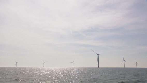 Viele Windräder stehen im Wasser. © Screenshot 