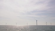 Viele Windräder stehen im Wasser. © Screenshot 