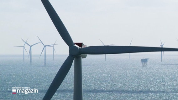 Windräder in einerm Offshore-Windpark. © Screenshot 