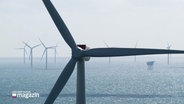 Windräder in einerm Offshore-Windpark. © Screenshot 