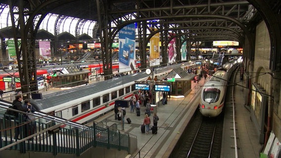 Ein Zug fährt in den Hamburger Hauptbahnhof ein. © Screenshot 