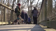 Menschen mit Hunden auf dem Baumwipfelpfad in Prora. © Screenshot 