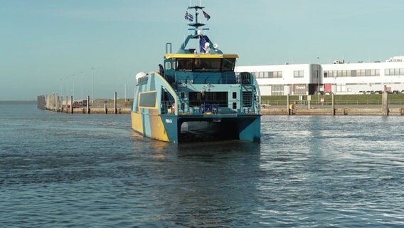 Ein Elektro-Katamaran fährt in einen Hafen ein. © Screenshot 