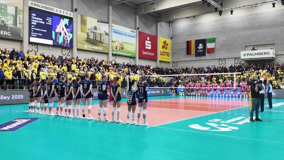 Zwei Volleyballteams stehen sich gegenüber. © Screenshot 