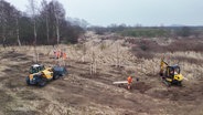 Landschaftsgärtner pflanzen Bäume. © Screenshot 