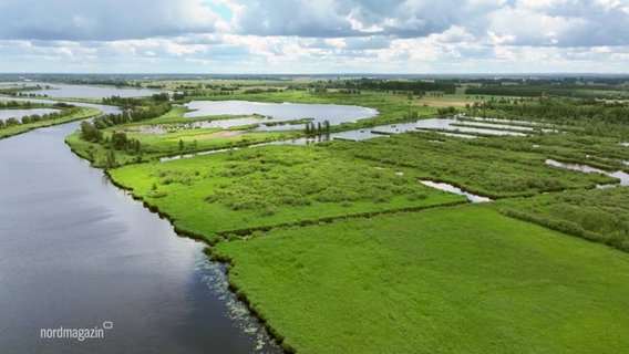 Vogelperspektive: Moor und Wiesenlandschaft. © Screenshot 