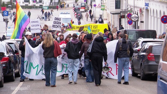 Eine Demonstration für mehr Klimaschutz, organisiert von Fridays For Future in Schwerin. © Screenshot 