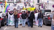 Eine Demonstration für mehr Klimaschutz, organisiert von Fridays For Future in Schwerin. © Screenshot 