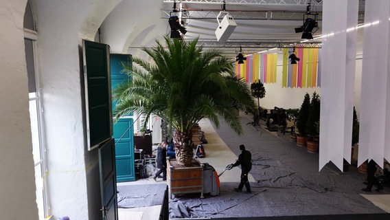 Eine Palme wird in die Orangerie geladen. © Screenshot 