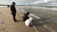 Ein Kind und zwei Erwachsene stehen am Strand und fassen ins Wasser. © Screenshot 