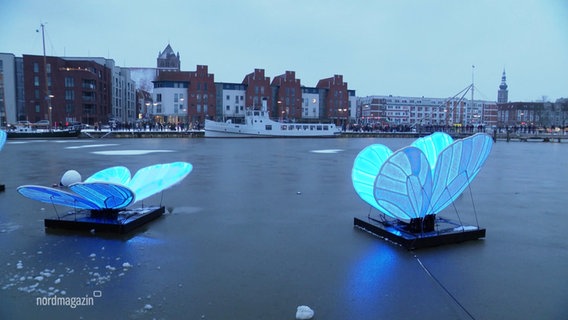 Zwei Schmetterlinge als Lichtkunstwerke stehen auf dem Wasser. © Screenshot 