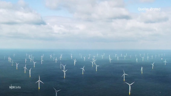 Luftaufnahme zeigt einen Offshore-Windpark in der Nordsee. © Screenshot 