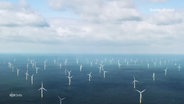 Luftaufnahme zeigt einen Offshore-Windpark in der Nordsee. © Screenshot 