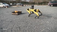 Ein vierbeiniger gelber Roboter steht vor einer brennenden Feuerschale auf einem Parkplatz. © Screenshot 