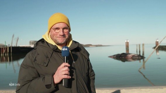 Reporter Jochen Dominicus steht in Hörnum am Hafen und berichtet. Im Hintrergrund ist der Kadaver eines Pottwals zu sehen. © Screenshot 