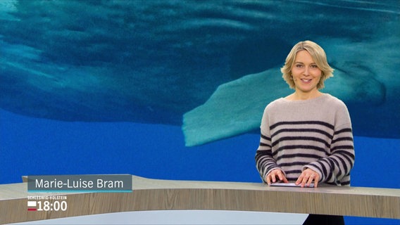 Marie-Luise Bram moderiert. © Screenshot 