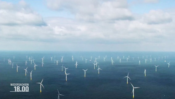 Ein Windpark in der Nordsee aus der Vogelperspektive. © Screenshot 