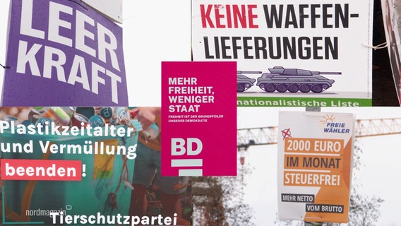 Wahlplakate kleinerer Parteien. © Screenshot 