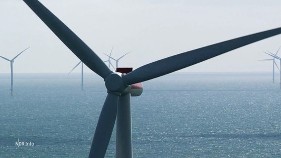 Windräder in der Nordsee. © Screenshot 