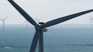 Windräder in der Nordsee. © Screenshot 