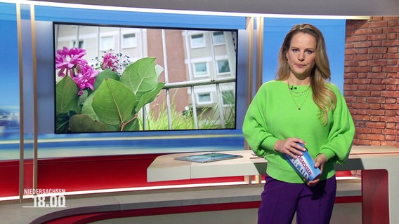 Tina Hermes moderiert das Niedersachsen Magazin um 18 Uhr. © Screenshot 