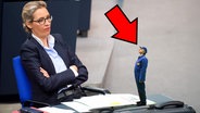 Alice Weidel von der AfD und Johannes Schlüter. (extra 3 vom 20.02.2025 im Ersten) © NDR 