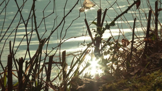 Sonnenstrahlen reflektieren in einer Wasseroberfläche. © Screenshot 