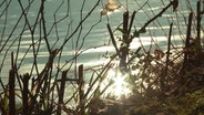 Sonnenstrahlen reflektieren in einer Wasseroberfläche. © Screenshot 