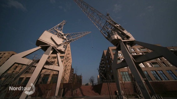 Kräne im ehemaligen Baakenhafen in Hamburg. © Screenshot 