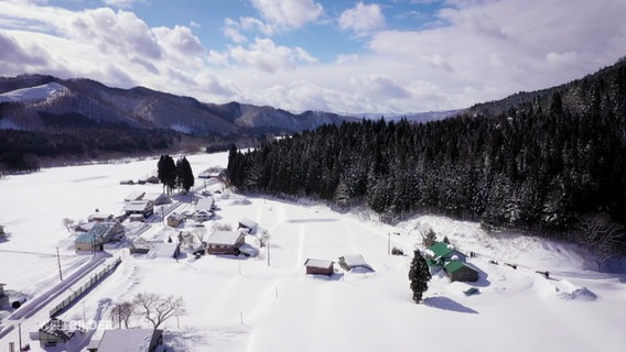 Ein Wald und schneebedeckte Häuser, gefilmt von oben. © Screenshot 