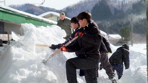 Mehrere Männer bearbeiten mit Schaufeln einen hohen Schneeberg. © Screenshot 