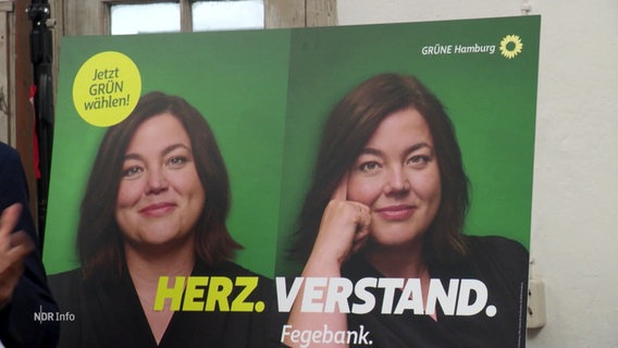 Zwei Wahlplakate zeigen die Grüne Spitzenkandidatin bei der Hamburg Bürgerschaftswahl Katarina Fegebank. © Screenshot 