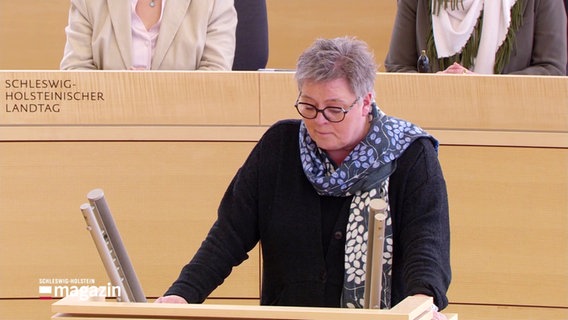 Birte Pauls, pflegepolitische Sprecherin der SPD, bei einer Rede im Landtag. © Screenshot 