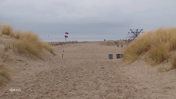 Ein Strand in Rostock. © Screenshot 