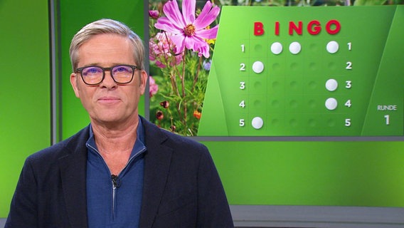 Hinnerk Baumgarten moderiert BINGO! © Screenshot 