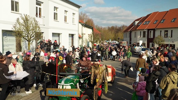 Viele Menschen ziehen beim Karnevalsumzug durch die Straße. © Screenshot 